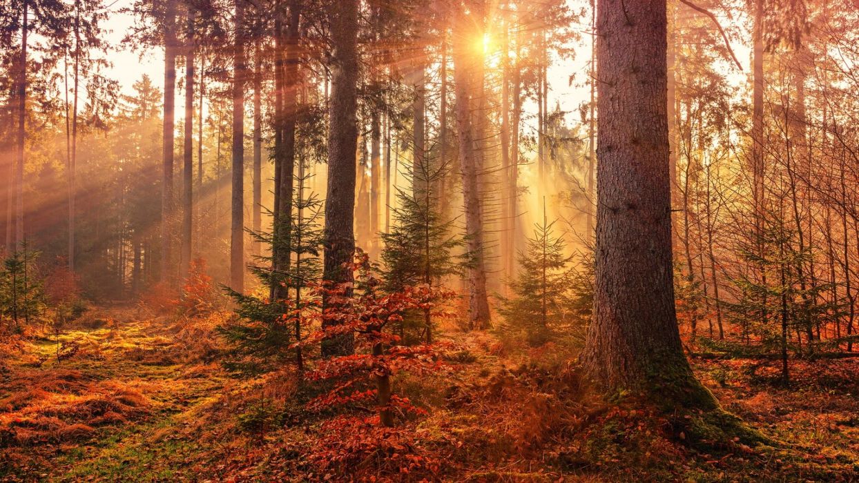 Image from Freepik.com
